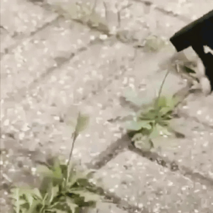 RootBurn™ | Kills 98% of weeds for a cleaner garden in 24 hours